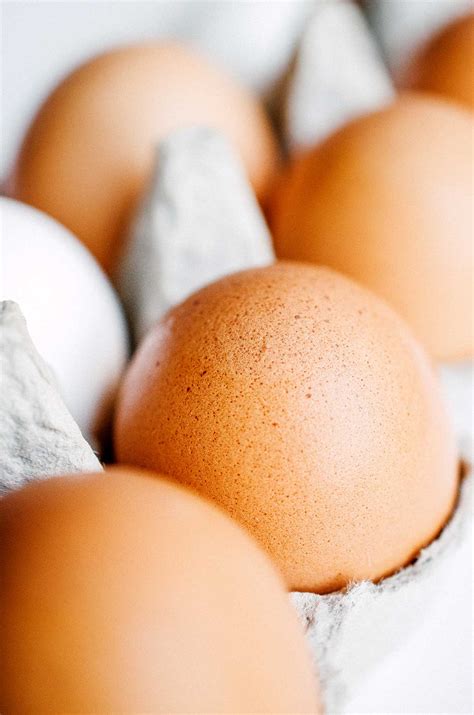 Eggs 101: Everything You Need To Know About Eggs 🍳