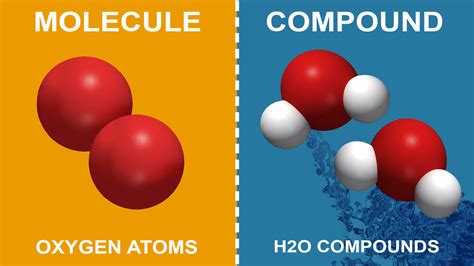 READ THE SCIENCE: 2.6 Compounds