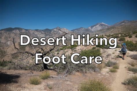 Essential Foot Care Tips for Desert Hiking - SectionHiker.com