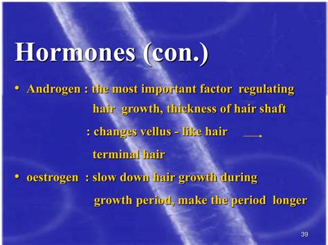PPT - HAIR CARE PowerPoint Presentation, free download - ID:474561