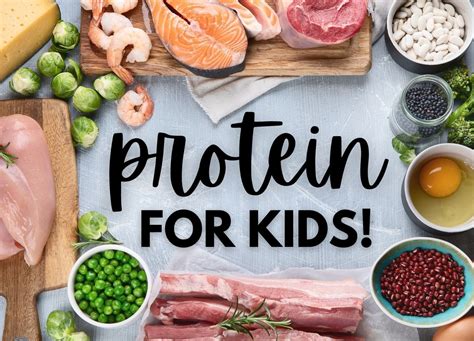 High Protein Foods for Picky Eaters - The Family Nutritionist