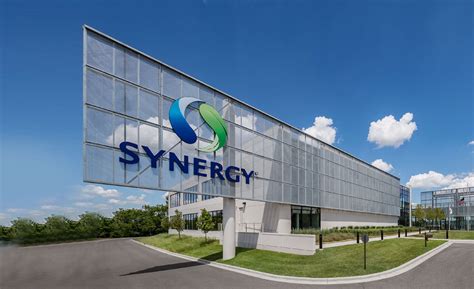 Contact - Synergy