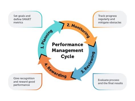 What is the Performance Management Cycle? It's Model and Stages