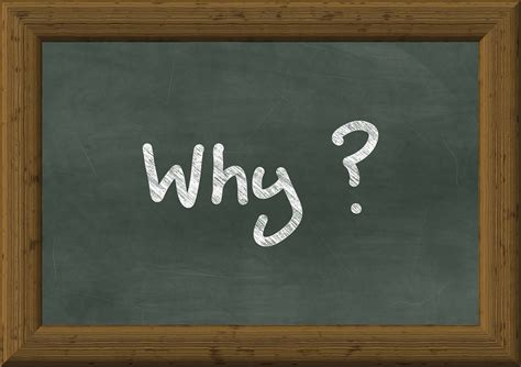 Why do men typically exhibit a broader shoulder-to-hip ratio compared to women?