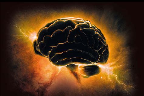 Instant Expert: Mysteries of the Mind | New Scientist