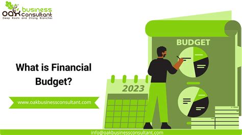 What is Financial Budget? - Oak Business Consultant