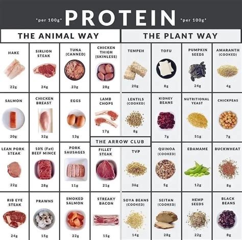 Beyond protein and common carbs, what often-overlooked plant-based food source could significantly contribute to a man’s sustained energy and overall ‘fuel’ efficiency throughout the day?
