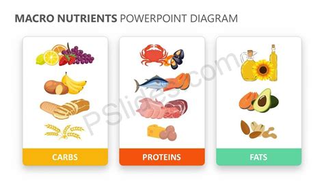 Macronutrient Chemical Structure Diagram Poster Macronutrien