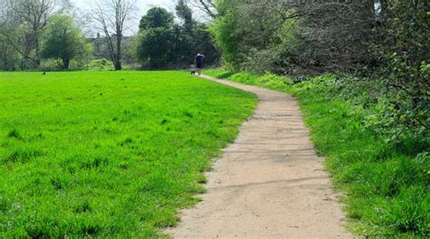 Path - definition and meaning with pictures | Picture Dictionary & Books