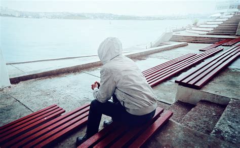 Roses in Concrete: Helping Isolated Boys and Men - Samuel Centre For Social Connectedness ...