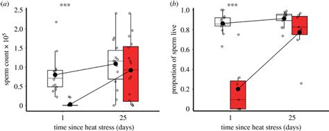 Recovery of sperm counts and viability after exposure to heat stress.... | Download Scientific ...