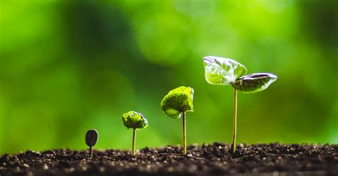 Why You Can (And Should) Embrace a Growth Mindset