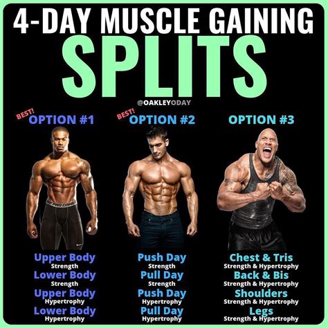 What’s the optimal workout split for men to gain muscle and strength efficiently?