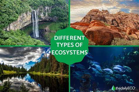 Different Types of Ecosystems - List With Examples and Photos