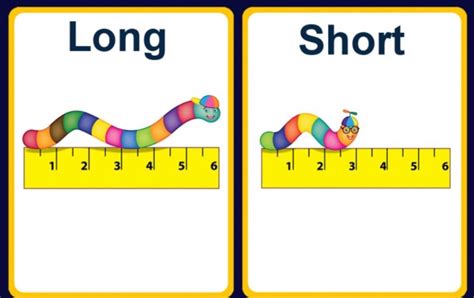Long and Short homework