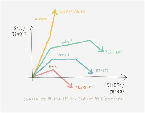 Antifragile vs Resilience | John Maeda’s Blog