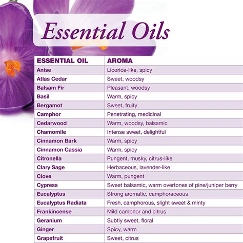 Printable Essential Oil Guide