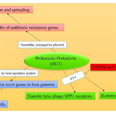 | Causes and consequences of prokaryote-prokaryote HGT. Mediators are ...