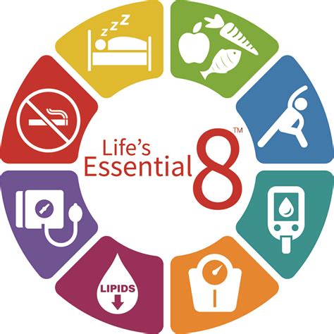 Primary care professionals key to helping people achieve & maintain ...