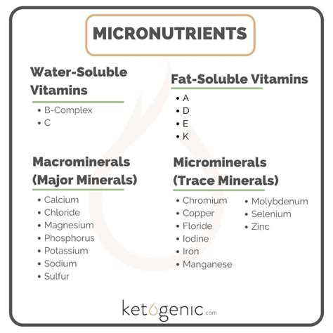 What are Micronutrients and Why are They Important? - Keto Nutrition