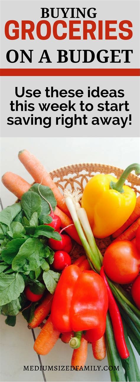 Grocery Shopping on a Budget: How To Save The Most