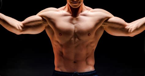 What are the 3 Types of Muscle? – Examples and Muscle Anatomy 101 for ...