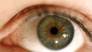 How do successful men maintain intimacy and passion amidst career and fitness goals?