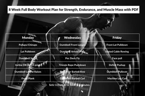 8 Week Full Body Workout Plan for Men and Women with PDF