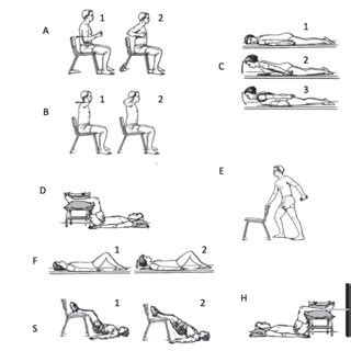 Core stability exercises | Download Scientific Diagram
