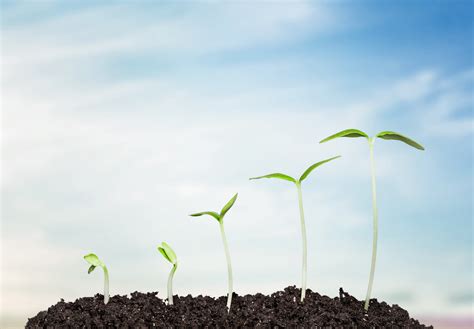 Grow. - Leadership Research Institute