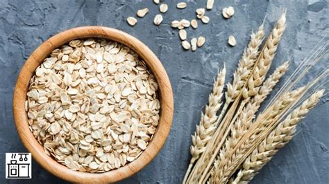 What Are Oats Made Of? [A Comprehensive Analysis]