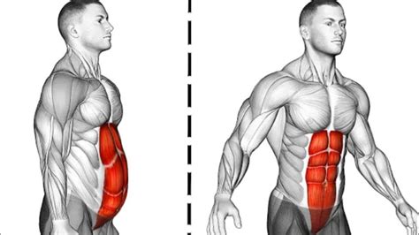 Fastest ways for men to burn belly fat and build a stronger core?