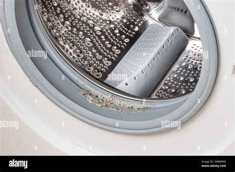 Dirty moldy washing machine sealing rubber and drum close up. Mold ...