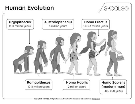 Human Evolution Answer Key - Infoupdate.org