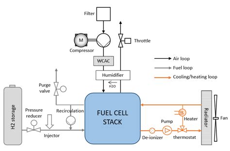 What fuel optimizes workout energy & recovery without blowing the budget?