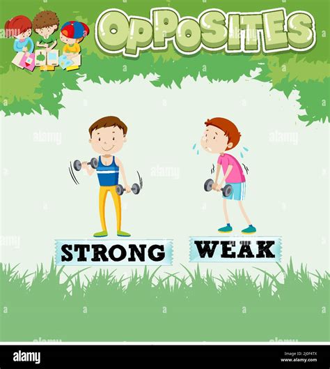 Opposite words for strong and weak illustration Stock Vector Image &amp; Art - Alamy