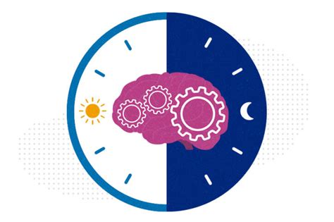 How does the circadian rhythm influence the ideal timing and macronutrient composition of fuel intake for optimizing men’s cognitive performance throughout the day?