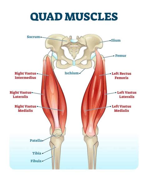 How To Unlock Tight Hip Flexors - EMPOWER YOUR WELLNESS