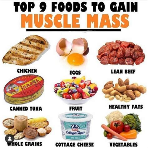 TOP 9 FOODS TO GAIN MUSCLE MASS | Food to gain muscle, Healthy high ...
