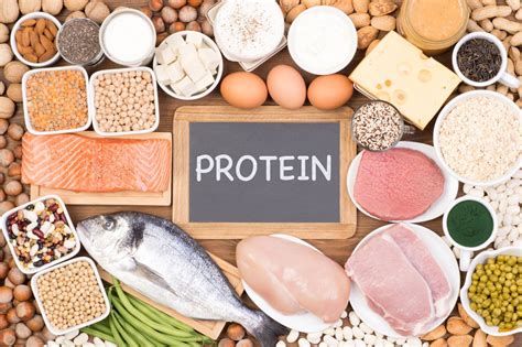 The Best Sources of Lean Protein to Lose Fat - Better Living