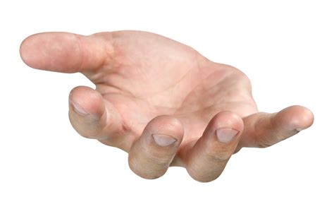 open the palm of the hand isolated 22207325 PNG