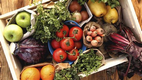 6 Essential Nutrients: What They Are and Why You Need Them