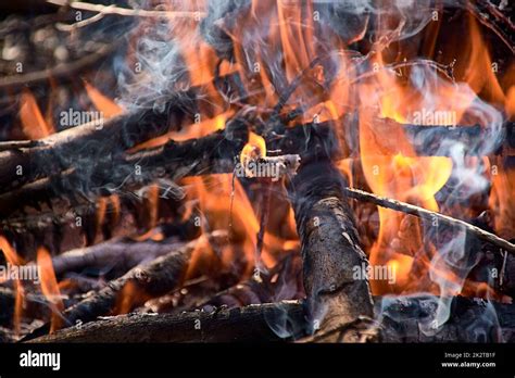 Small black fireplace in hi-res stock photography and images - Alamy