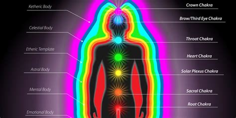 Energetic Anatomy: A Complete Guide To The Human Energy Fields And ...