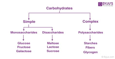 Sources Of Carbohydrates, Complex Carbohydrates, Basic Food Groups ...