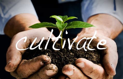 How to cultivate a resilient mindset for financial setbacks & fitness plateaus?