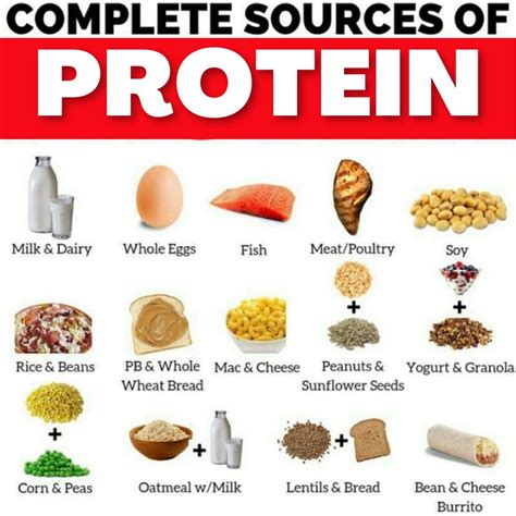 High Protein Foods List, Best Protein, Healthy Protein, High Protein ...