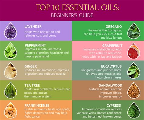 Top 10 Essential Oils: The Complete Beginners Guide - Viral Rang