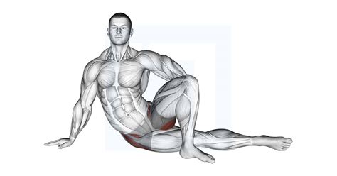 Kneeling Hip Flexor Stretch - Guide, Benefits, and Form