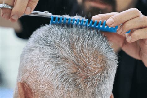 What is the average number of hair follicles on an adult man’s chest?